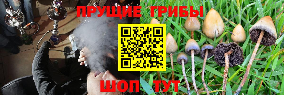 Псилоцибиновые грибы GOLDEN TEACHER  Вход с VPN  Лесосибирск 